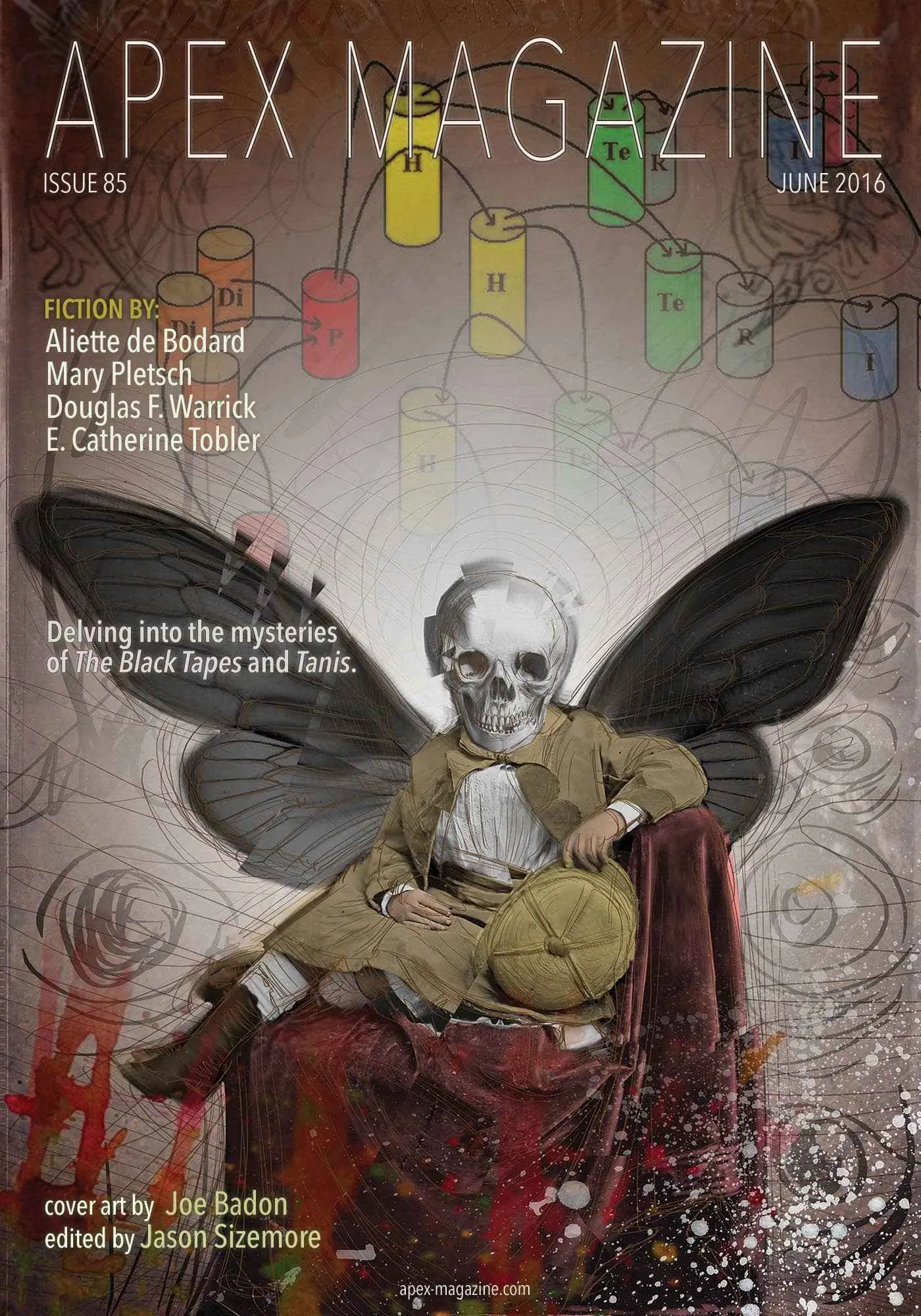 Apex Magazine Issue 85