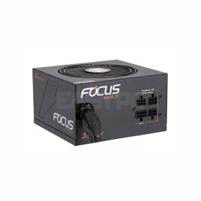 Seasonic Focus Gold 750W, 50W 80 Plus Multi-GPU setup Semi-Modular Cables Power Supply
