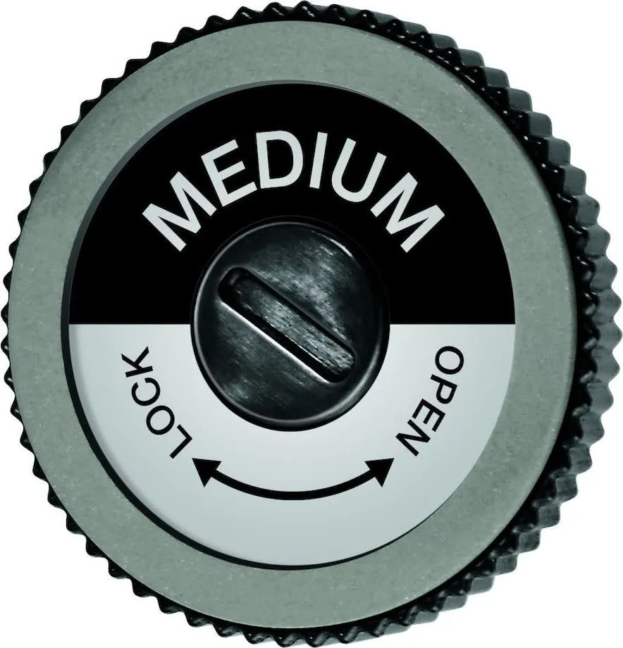 Swix TA3013M EVO Spare Disc Medium Nocolour | Buy Swix TA3013M EVO Spare Disc Medium Nocolour here | Outnorth